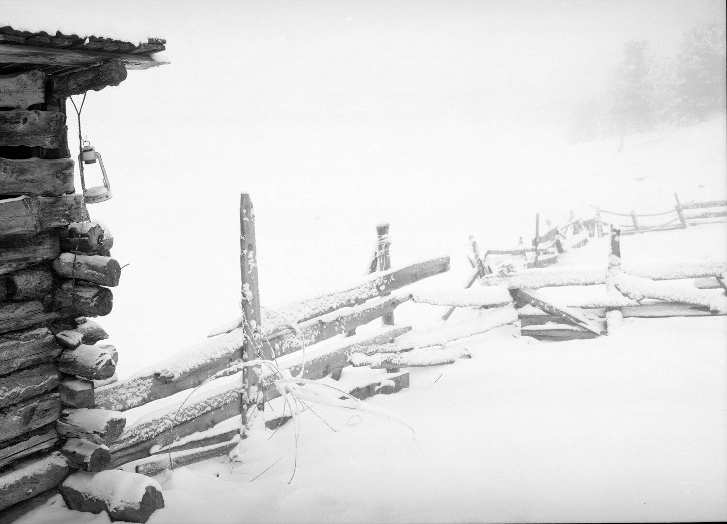 , Юрий Павлов