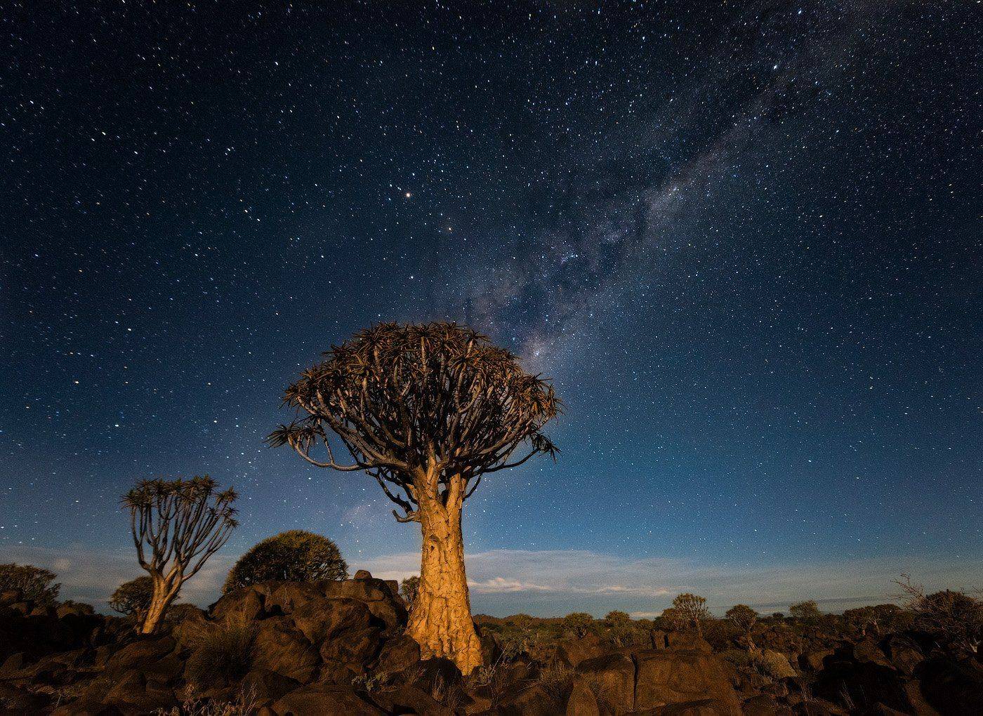 , Андрей Ведерников