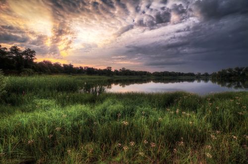 Раннее утро