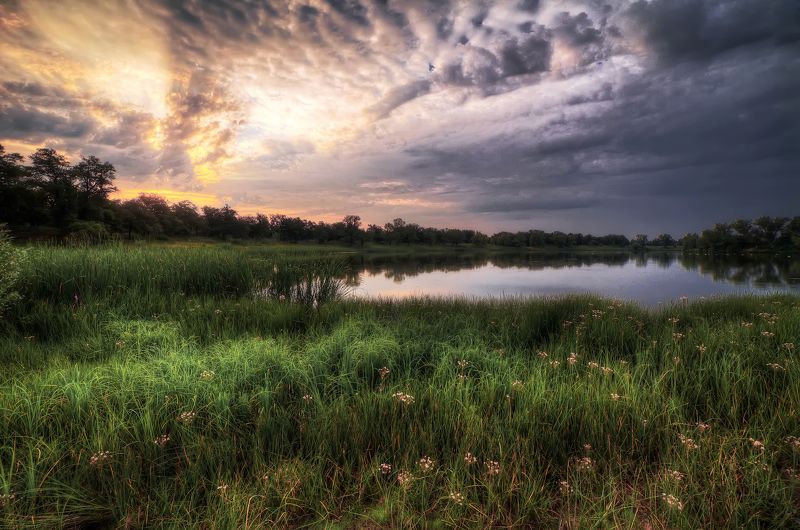 #blue, #green, #morning, #russia, #sky, #sun Раннее утро фото превью
