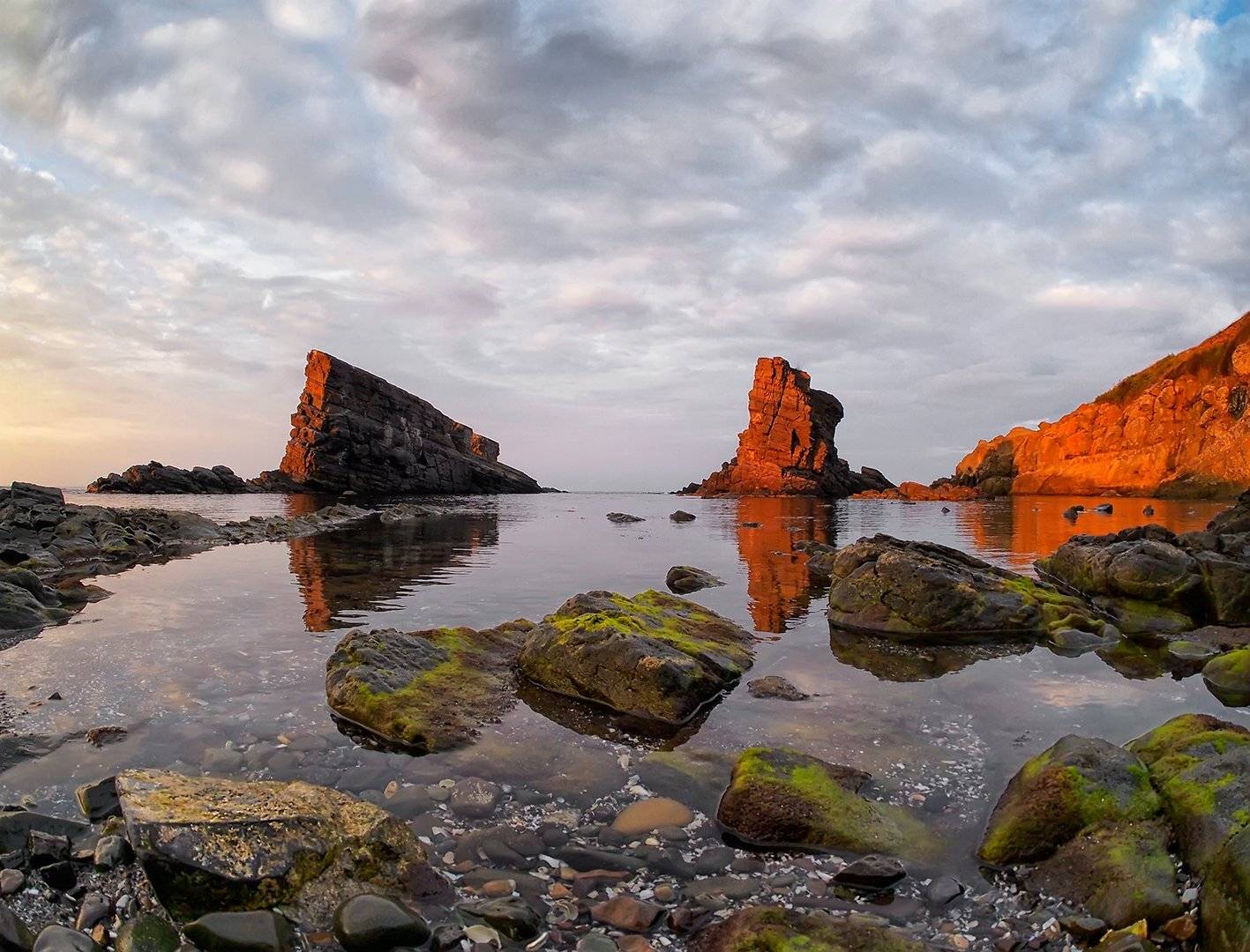 , Димитър Стоянов