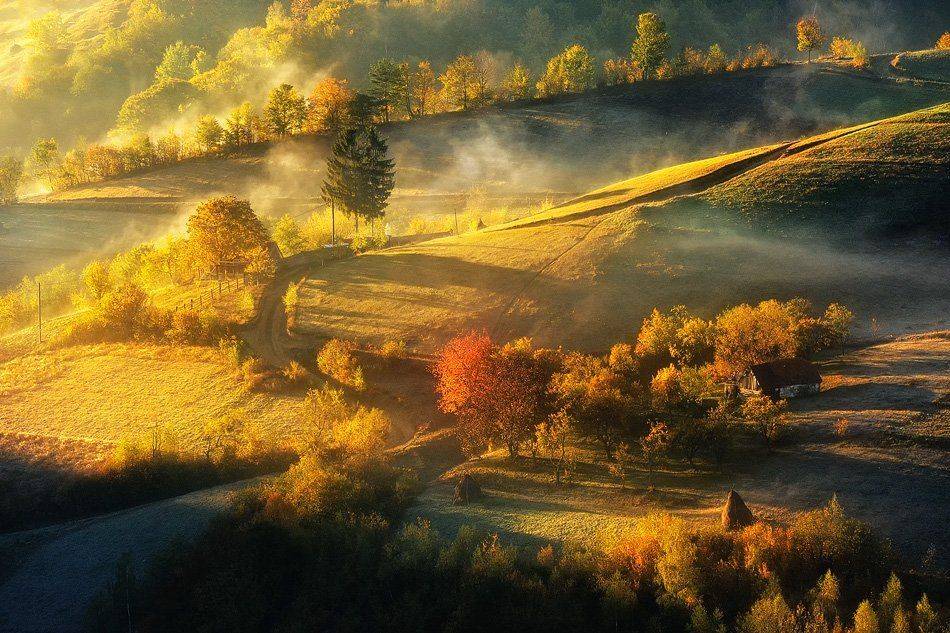 , Stefan Chirobocea
