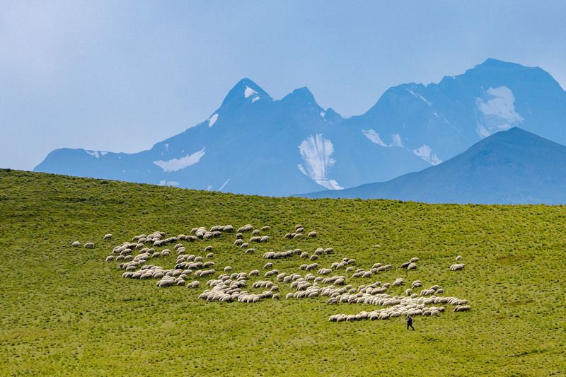 Профессия интроверта  фото превью