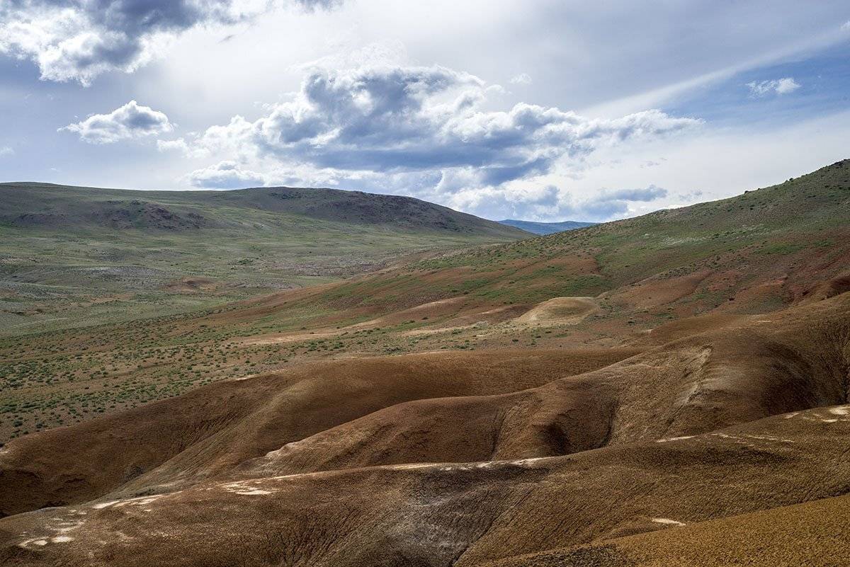 , Игорь Токарев