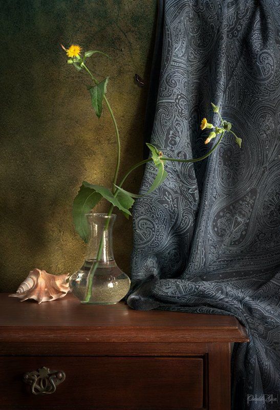 Silvestre фото превью