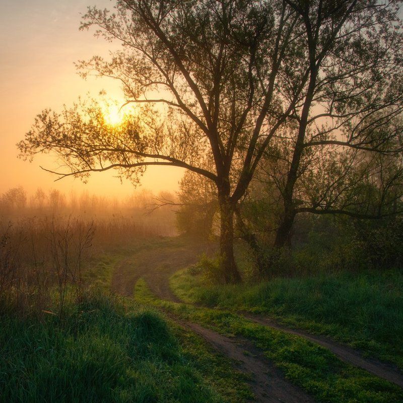 Восход фото превью
