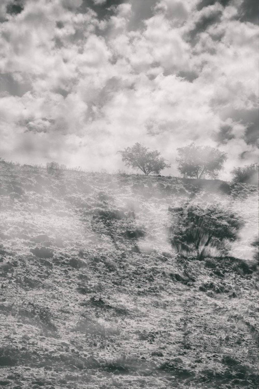 линии, пятна, пейзаж, природа,, valeko