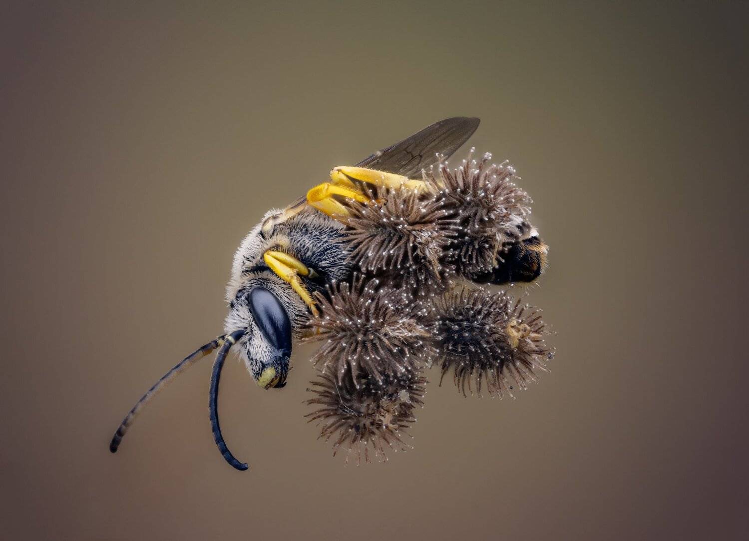 , Эльдар Гуртуев