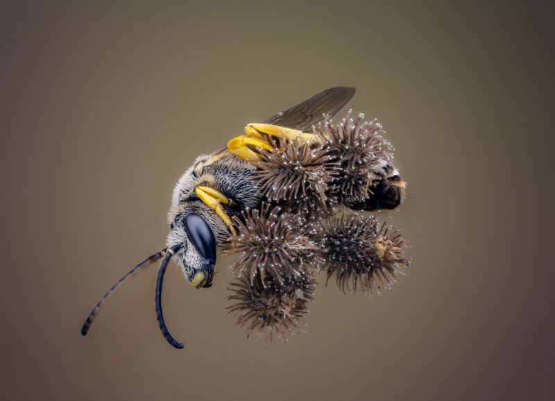 На вершине фото превью