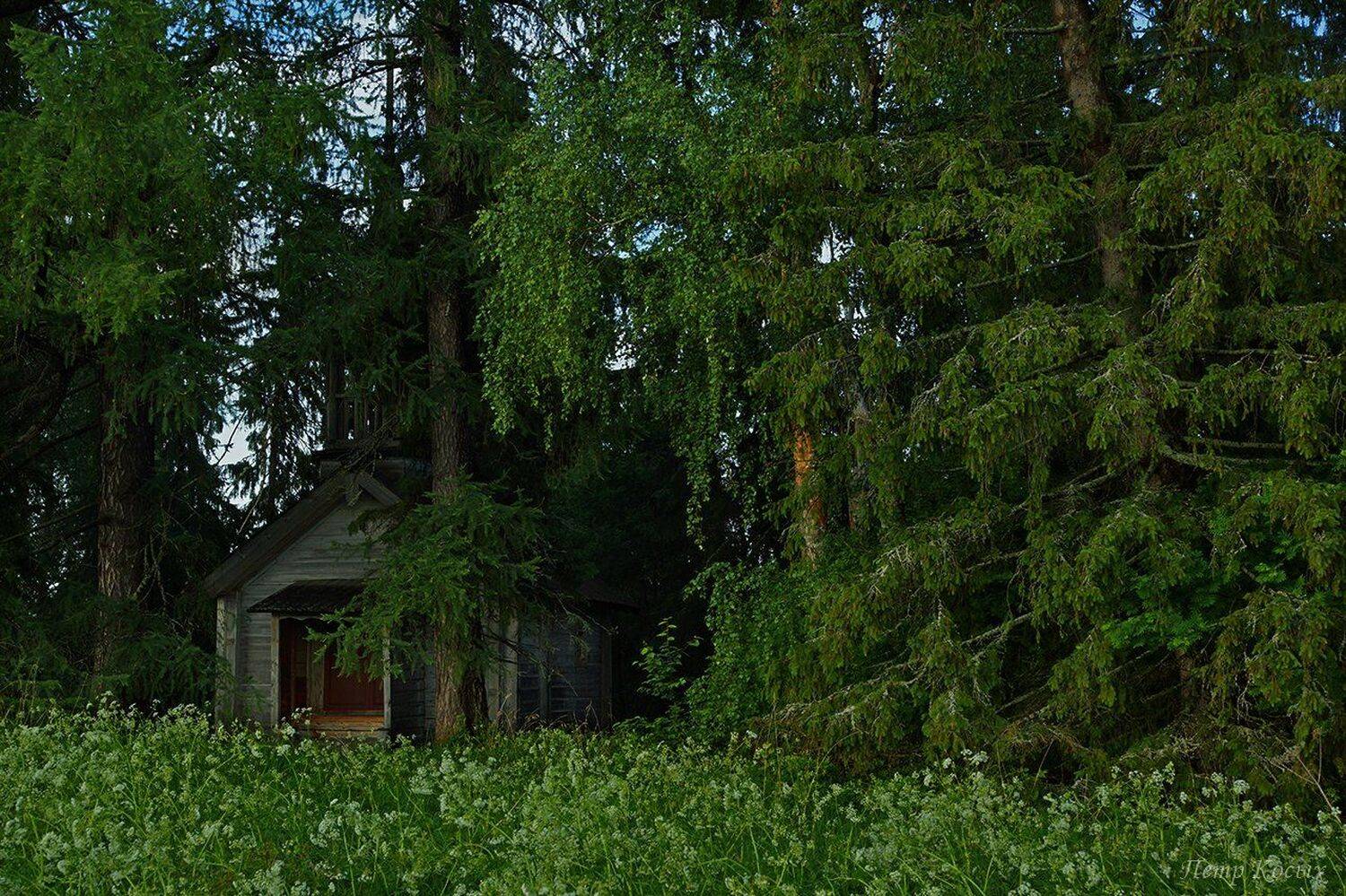 Горбачиха, Кенозерье, Часовня, Петр Косых