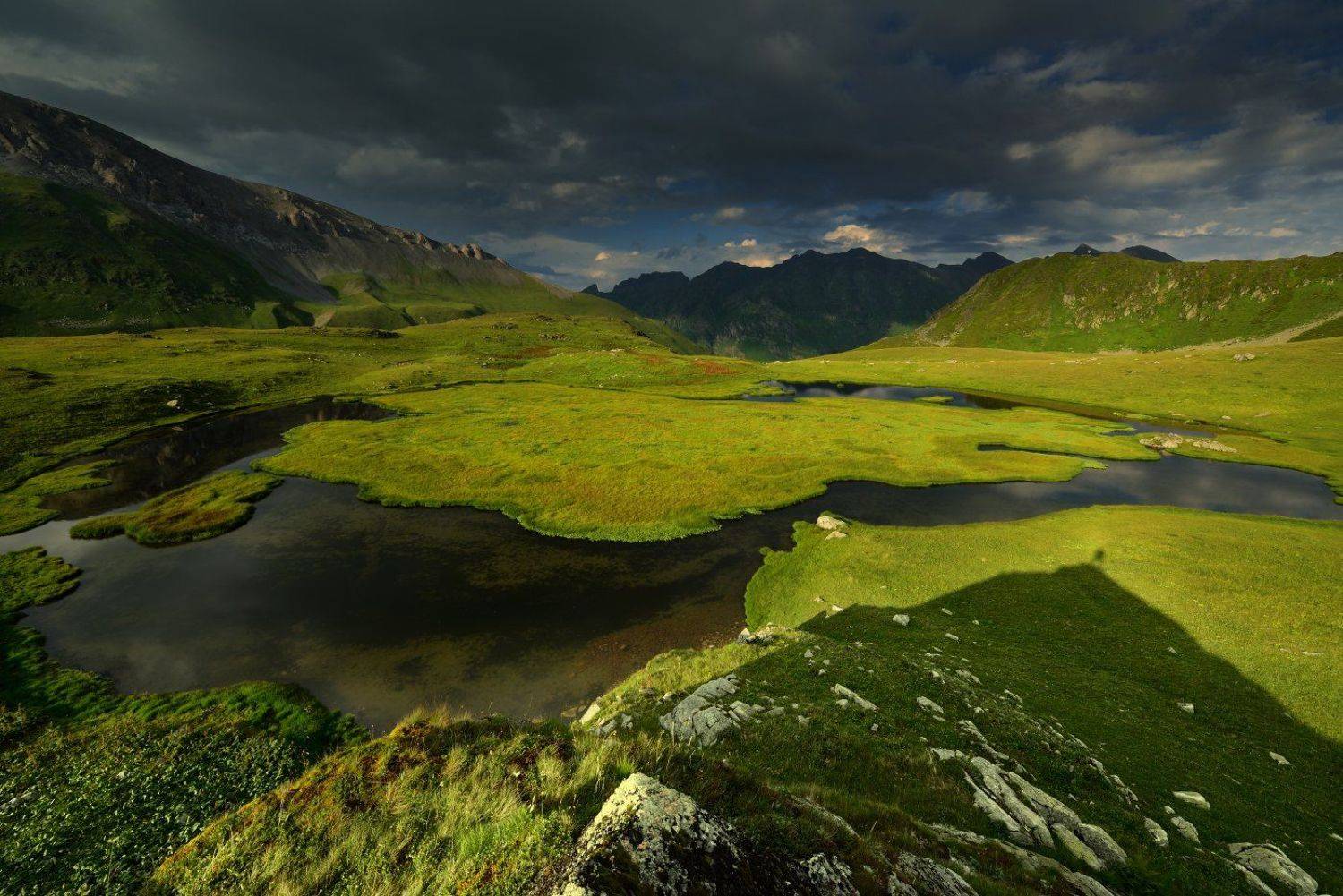 , Максим Евдокимов ( www.wildphotorus.ru )