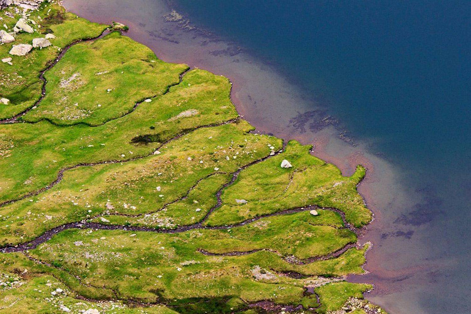 Вода, Земля, Ирина Костова