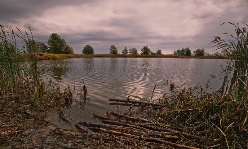 В ожидании дождя фото превью