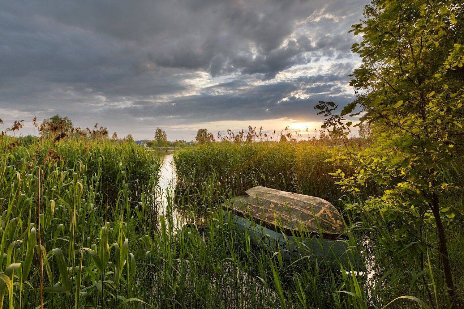 , slanec (Игорь Иванов)