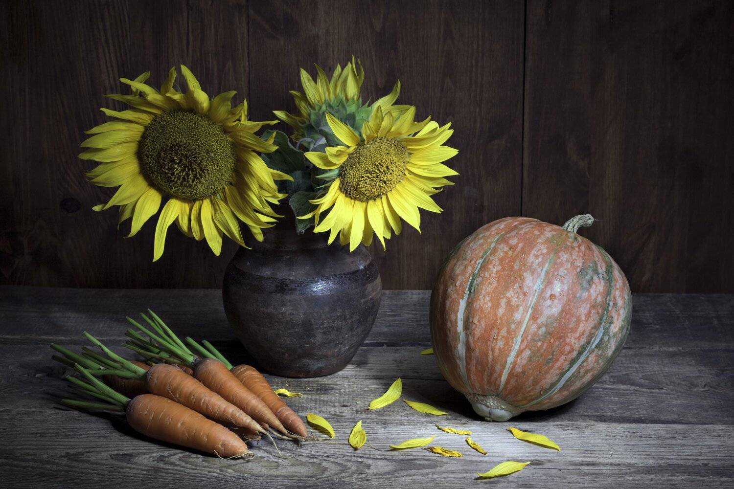 , Наталья Бочкарева