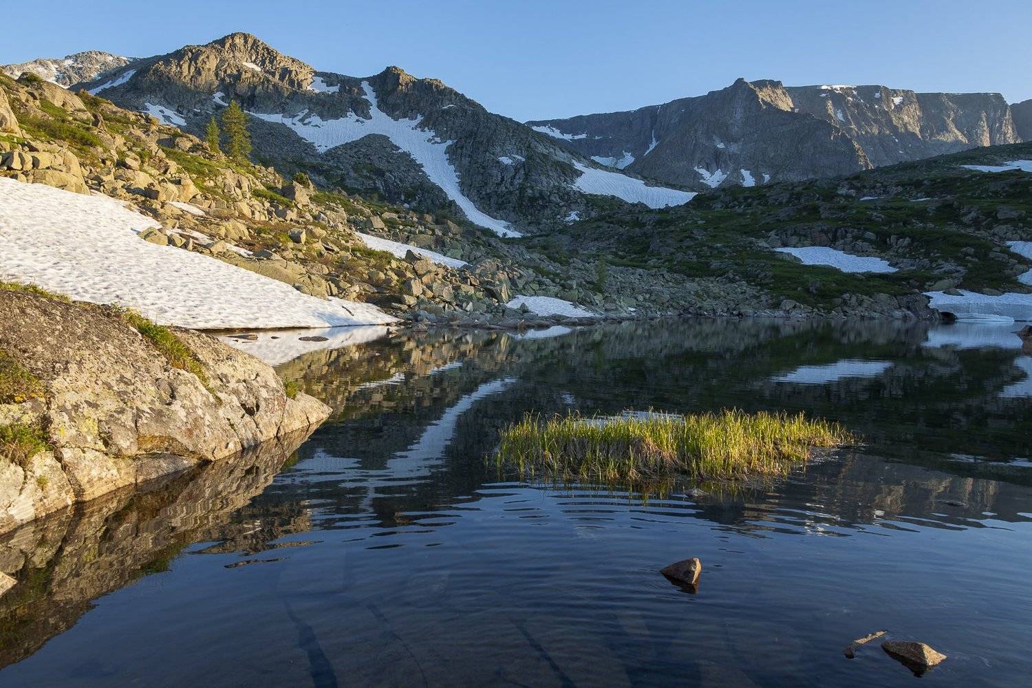 алтай, Дмитрий Кривопалов
