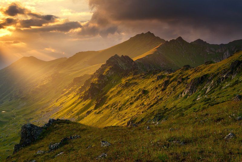 Колыбельная Загедана фото превью