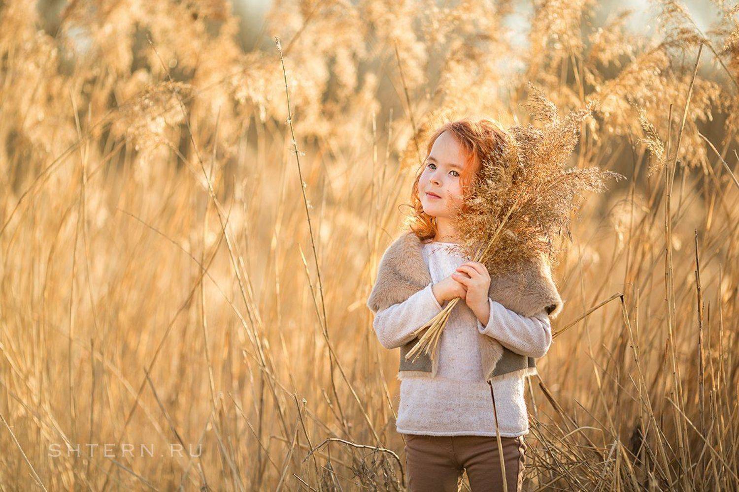 , Екатерина Штерн