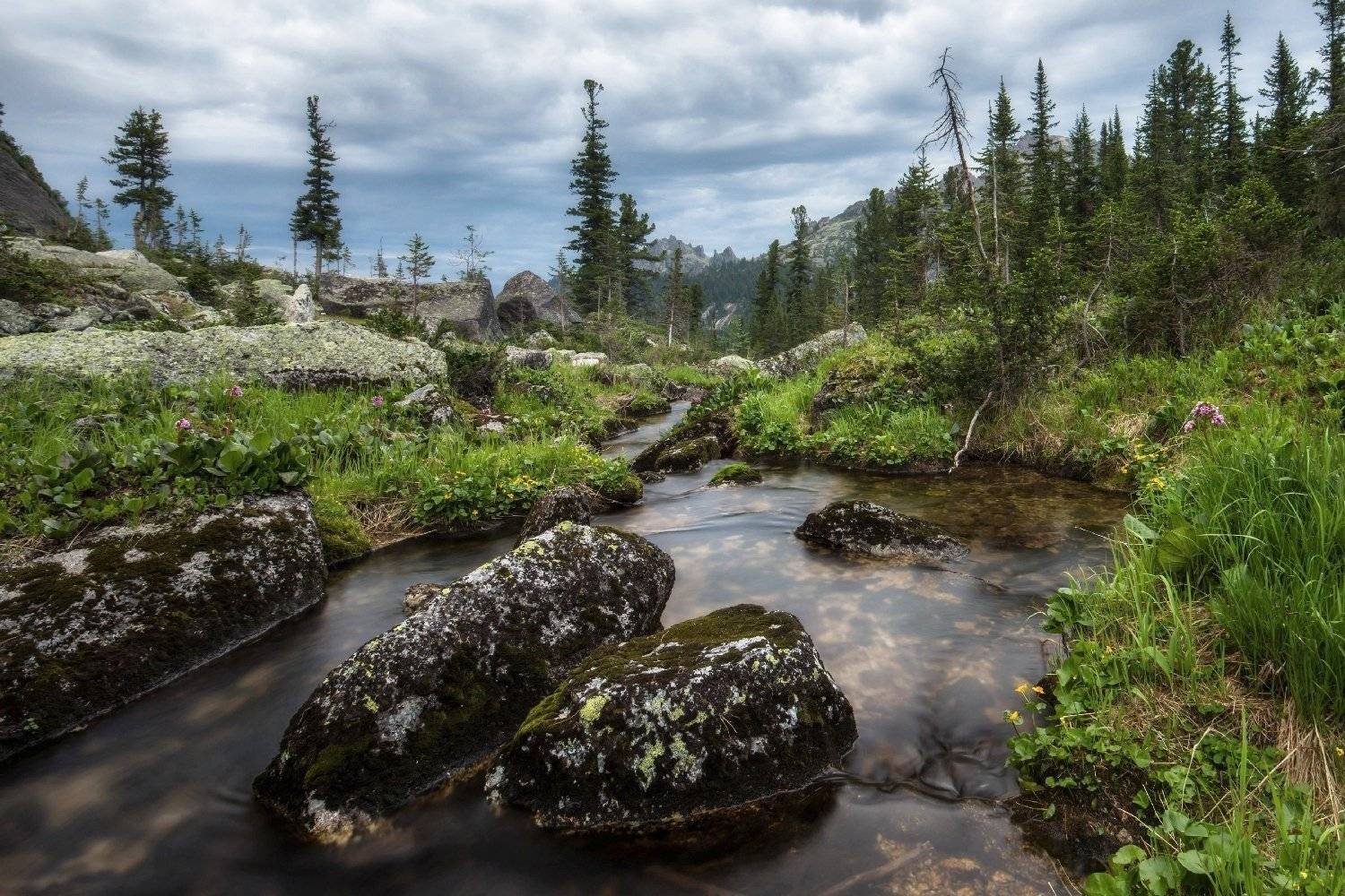 Саяны, Западный Саян, Ергаки, ручей, вечер, тайга, сумерки, Красноярский край, Виктор Зайцев