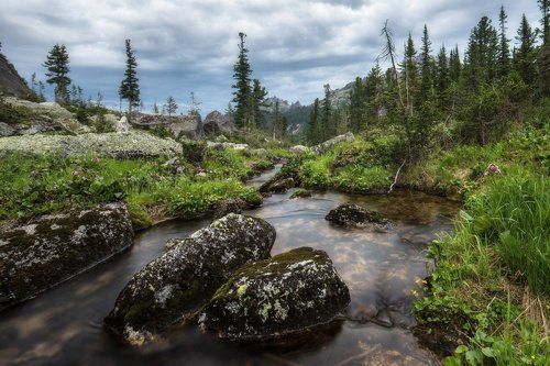 Тишина летних сумерек