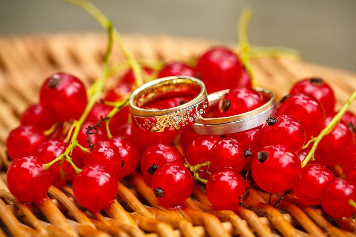 свадебная прогулка, свадьба, жених, невеста, любовь, love story, кольца, mdmmikle, Латвия, Рига, Михаил Маслов