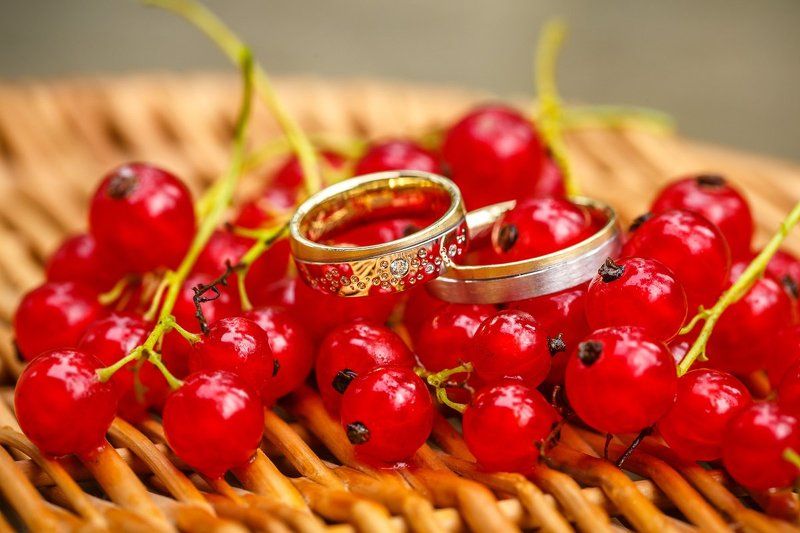 свадебная прогулка, свадьба, жених, невеста, любовь, love story, кольца, mdmmikle, Латвия, Рига Свадебные кольца фото превью