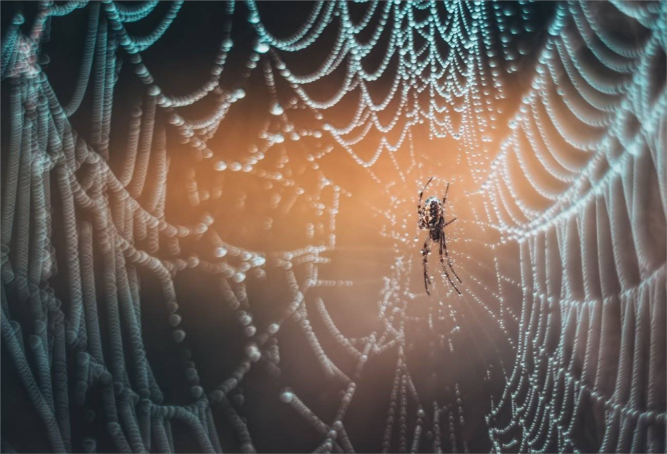 , Рудченко Анатолий