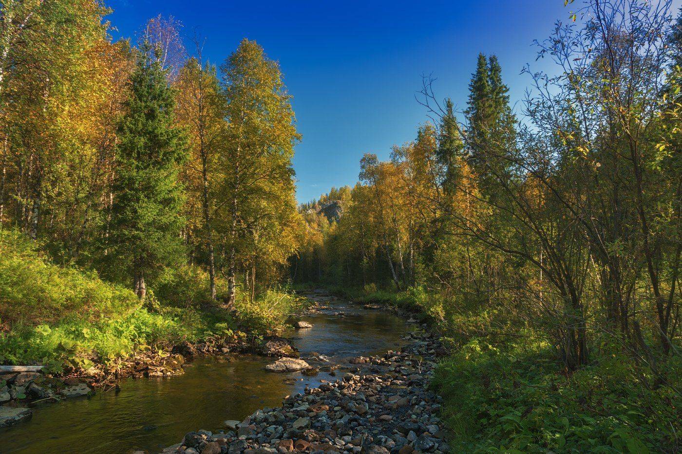 август, приполярный, урал, югыд ва, Игорь Подобаев
