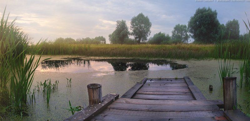Некрасовский район, Ярославская область Рыбницы. Рассвет фото превью