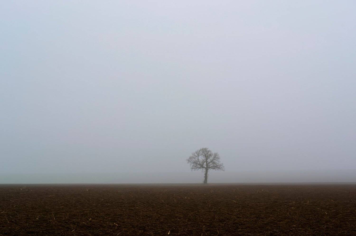 , Мартин Костадинов