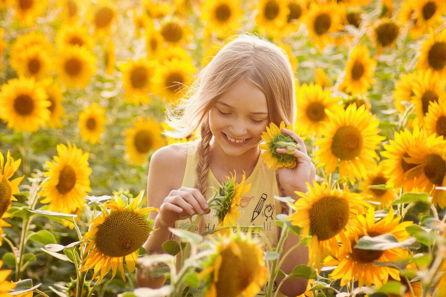 лето, подсолнухи, солнце, Есипова Лидия