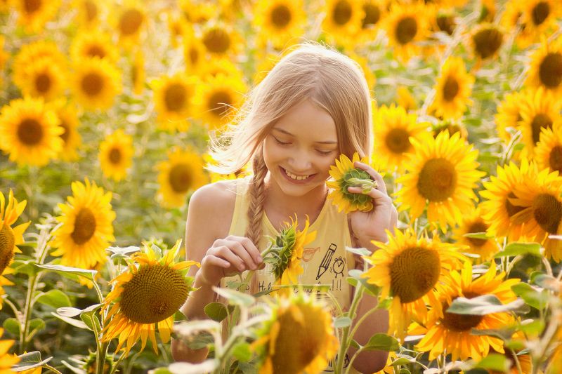 лето, подсолнухи, солнце Солнечная фото превью