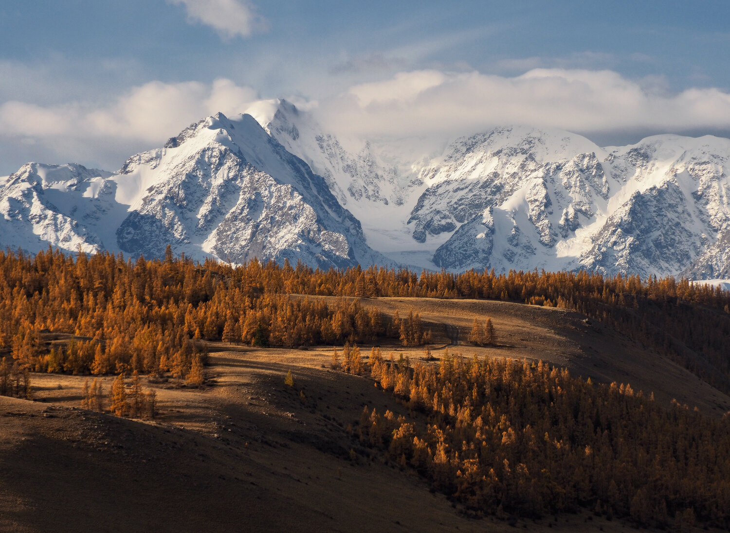 алтай, республика алтай, северо-чуйский хребет, курай, Галина Хвостенко