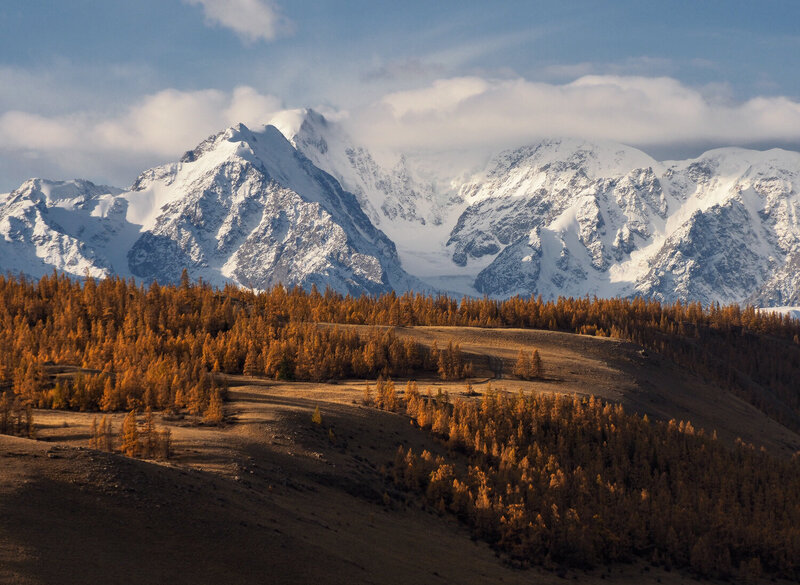 алтай, республика алтай, северо-чуйский хребет, курай У подножия белых вершин фото превью