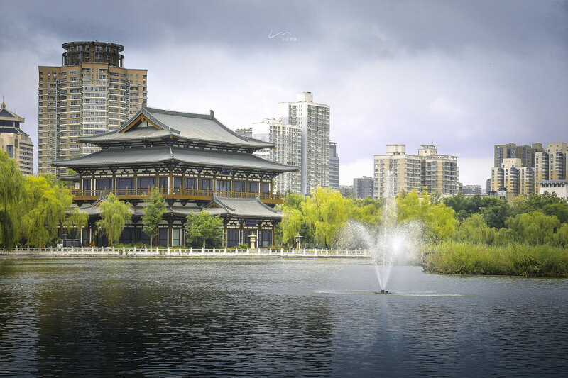 唐, ·, 兴庆宫遗址公园 唐 · 兴庆宫遗址公园 фото превью