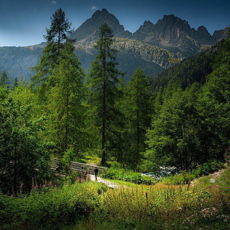 Le Tour-Fr фото превью