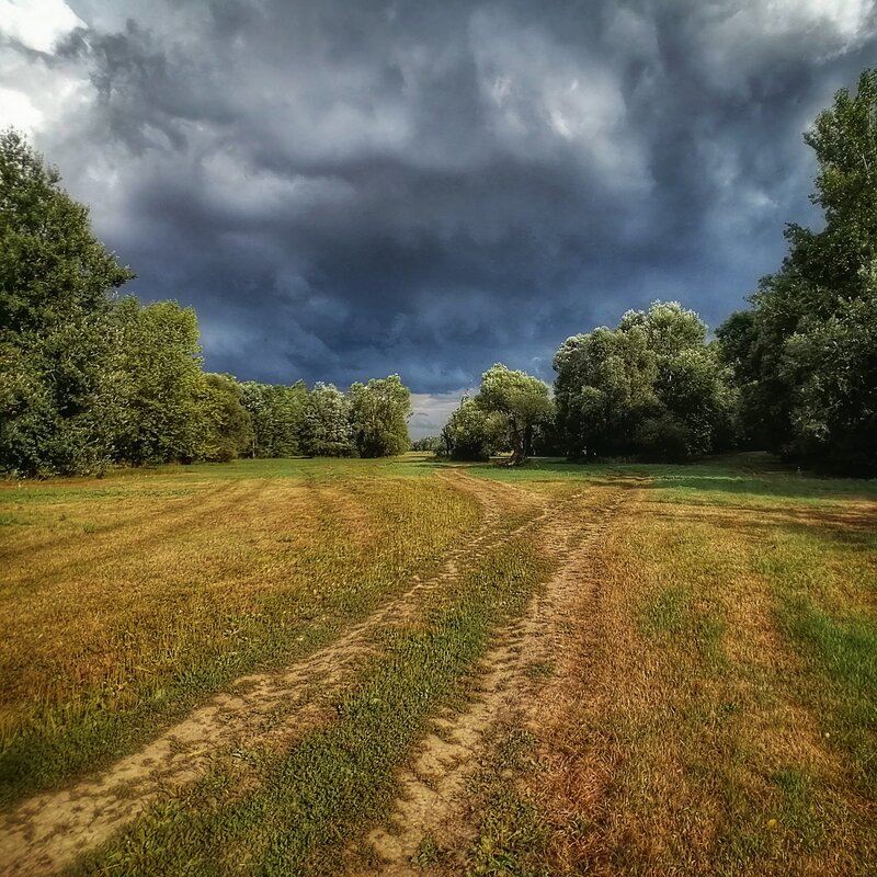 Something’s brewing фото превью