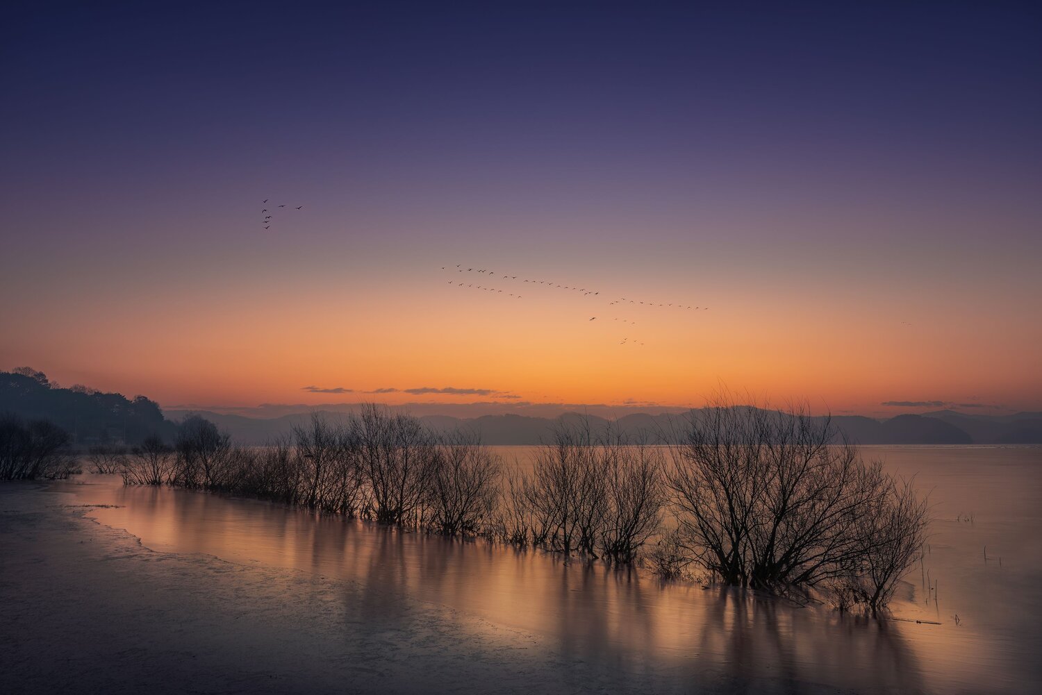 Scenery, sunrise, romantic, captivating, migratory birds, 윤 민재