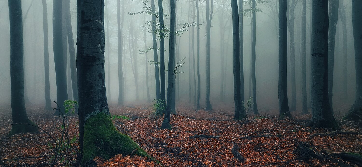 , Юлияна Стоянова