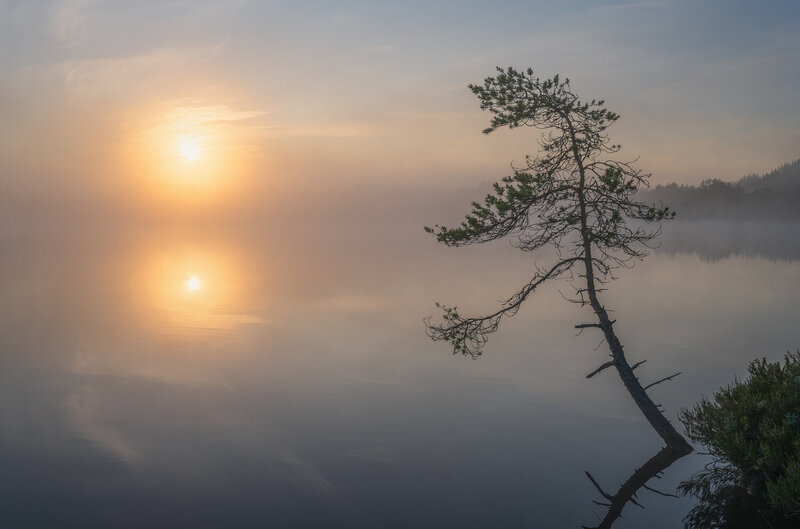 Одинокий страж рассвета фото превью