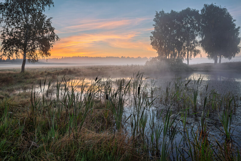 * фото превью