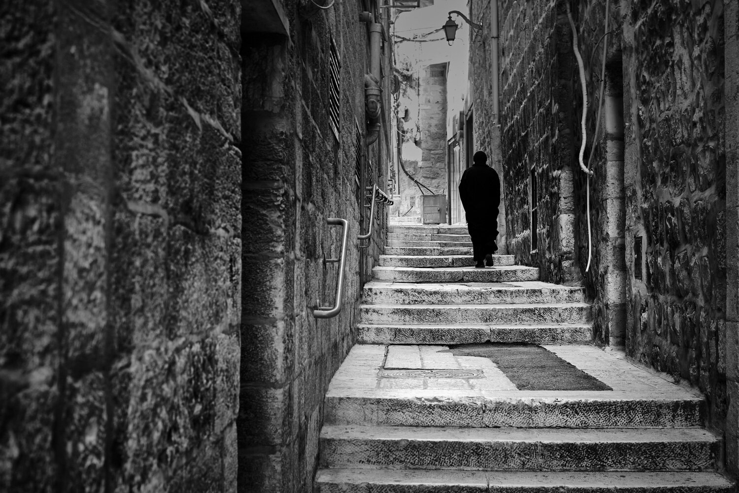 , David Solodar