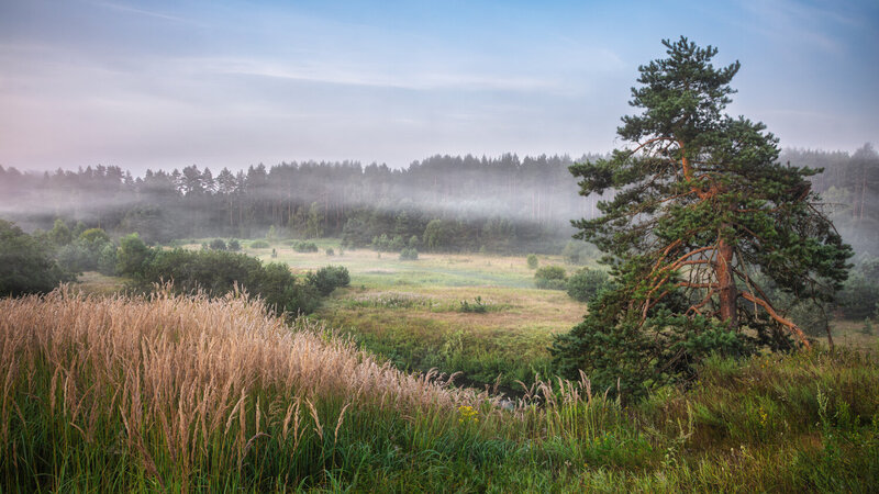 ** фото превью