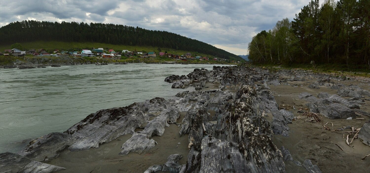 алтай, река катунь, п.элекмонар, утро, лето, Вадим Душкин