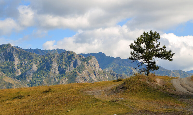Горный Алтай фото превью