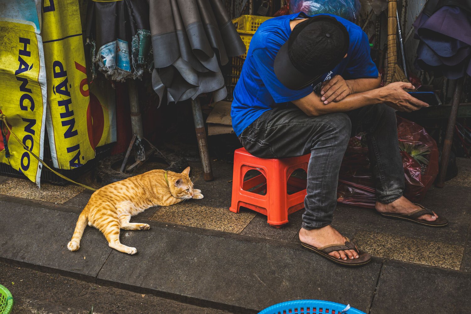 Автор: Trần Thành Đạt , Trần Thành Đạt