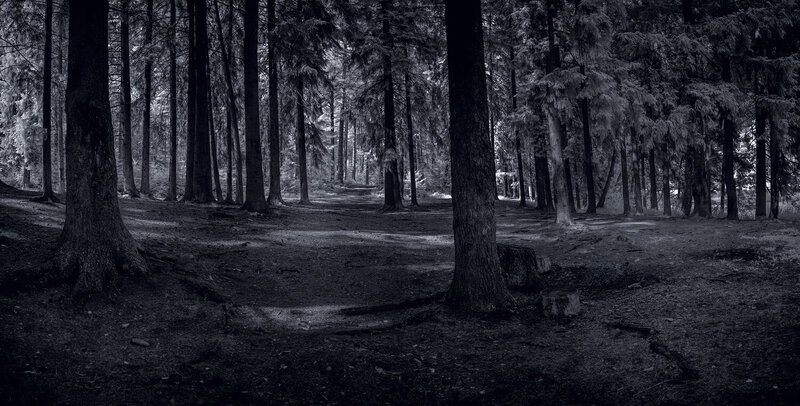 ик-фото, инфракрасная фотография, infrared., лето, пейзаж Сказочный лес фото превью