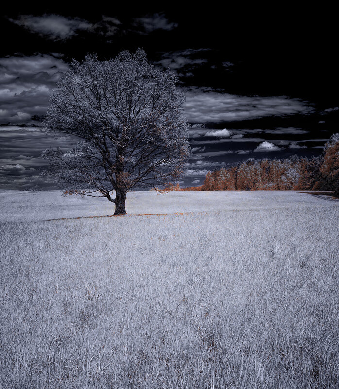 ик-фот, infrared, инфракрасная фотография, инфракрасное фото, весна, пейзаж В седых красках весны фото превью