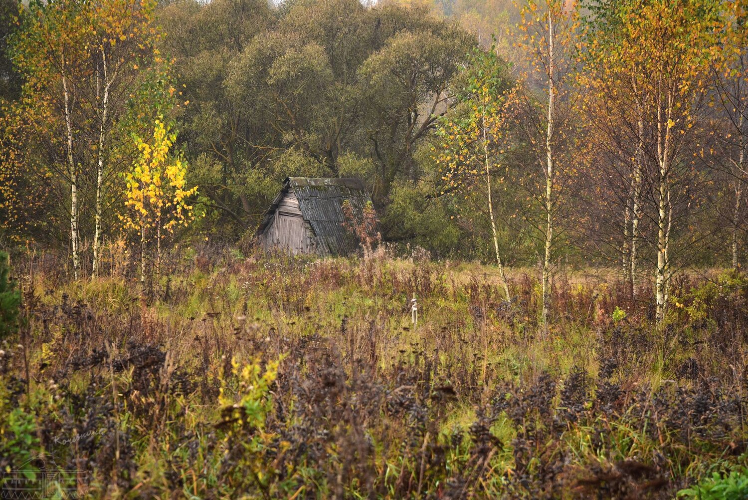 , Юлия Абрамова