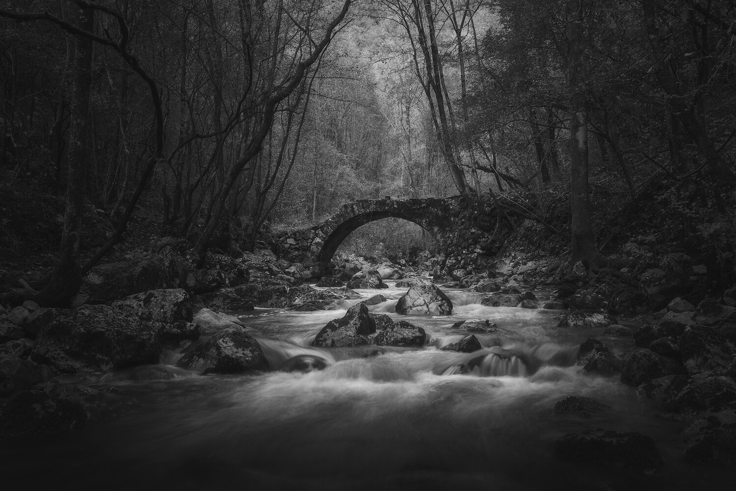 , de Franzoni Thomas